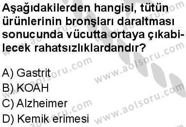 Sağlık Bilgisi ve Trafik Kültürü 1 Dersi 2024-2025 yılı 1. Dönem sınavı 7. Soru Sağlık Bilgisi ve Trafik Kültürü 1 Dersi 2024-2025 yılı 1. Dönem sınavı 7. Soru
