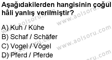 Almanca 4 Dersi 2024-2025 yılı 1. Dönem sınavı 6. Soru Almanca 4 Dersi 2024-2025 yılı 1. Dönem sınavı 6. Soru