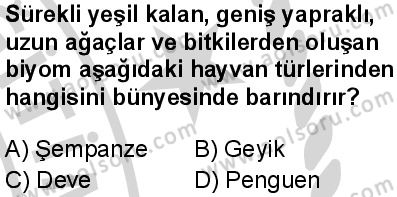 Seçmeli Coğrafya 1 Dersi 2024-2025 yılı 2. Dönem sınavı 1. Soru Seçmeli Coğrafya 1 Dersi 2024-2025 yılı 2. Dönem sınavı 1. Soru