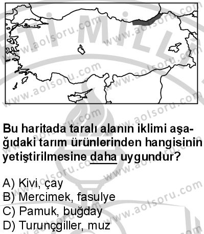 Seçmeli Coğrafya 1 Dersi 2024-2025 yılı 2. Dönem sınavı 8. Soru Seçmeli Coğrafya 1 Dersi 2024-2025 yılı 2. Dönem sınavı 8. Soru