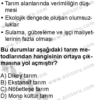 Seçmeli Coğrafya 3 Dersi 2024-2025 yılı 2. Dönem sınavı 1. Soru Seçmeli Coğrafya 3 Dersi 2024-2025 yılı 2. Dönem sınavı 1. Soru