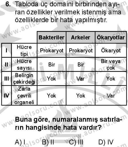 Biyoloji 1 Dersi 2024-2025 yılı 2. Dönem sınavı 6. Soru Biyoloji 1 Dersi 2024-2025 yılı 2. Dönem sınavı 6. Soru