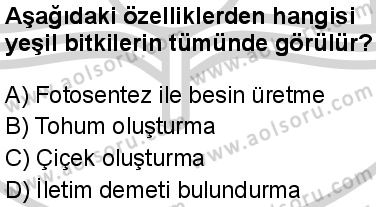 Biyoloji 1 Dersi 2024-2025 yılı 2. Dönem sınavı 7. Soru Biyoloji 1 Dersi 2024-2025 yılı 2. Dönem sınavı 7. Soru