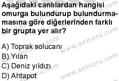 Biyoloji 1 Dersi 2024-2025 yılı 2. Dönem sınavı 8. Soru Biyoloji 1 Dersi 2024-2025 yılı 2. Dönem sınavı 8. Soru