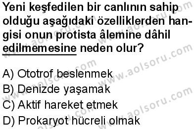Biyoloji 1 Dersi 2024-2025 yılı 2. Dönem sınavı 9. Soru Biyoloji 1 Dersi 2024-2025 yılı 2. Dönem sınavı 9. Soru