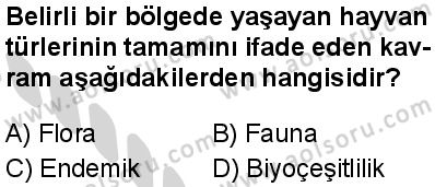 Biyoloji 1 Dersi 2024-2025 yılı 2. Dönem sınavı 10. Soru Biyoloji 1 Dersi 2024-2025 yılı 2. Dönem sınavı 10. Soru