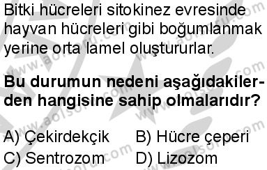 Biyoloji 3 Dersi 2024-2025 yılı 2. Dönem sınavı 2. Soru Biyoloji 3 Dersi 2024-2025 yılı 2. Dönem sınavı 2. Soru