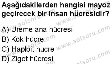 Biyoloji 3 Dersi 2024-2025 yılı 2. Dönem sınavı 4. Soru Biyoloji 3 Dersi 2024-2025 yılı 2. Dönem sınavı 4. Soru