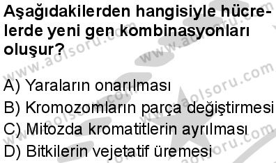 Biyoloji 3 Dersi 2024-2025 yılı 2. Dönem sınavı 5. Soru Biyoloji 3 Dersi 2024-2025 yılı 2. Dönem sınavı 5. Soru
