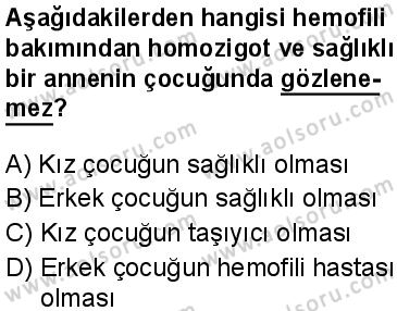 Biyoloji 3 Dersi 2024-2025 yılı 2. Dönem sınavı 8. Soru Biyoloji 3 Dersi 2024-2025 yılı 2. Dönem sınavı 8. Soru
