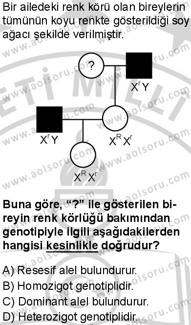 Biyoloji 3 Dersi 2024-2025 yılı 2. Dönem sınavı 9. Soru Biyoloji 3 Dersi 2024-2025 yılı 2. Dönem sınavı 9. Soru