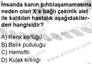 Biyoloji 3 Dersi 2024-2025 yılı 2. Dönem sınavı 10. Soru Biyoloji 3 Dersi 2024-2025 yılı 2. Dönem sınavı 10. Soru