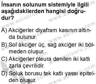 Seçmeli Biyoloji 2 Dersi 2024-2025 yılı 2. Dönem sınavı 1. Soru Seçmeli Biyoloji 2 Dersi 2024-2025 yılı 2. Dönem sınavı 1. Soru
