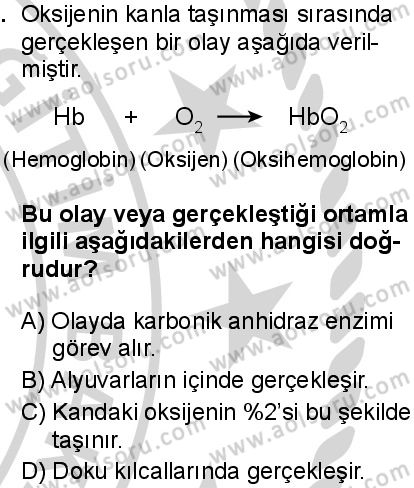 Seçmeli Biyoloji 2 Dersi 2024-2025 yılı 2. Dönem sınavı 2. Soru Seçmeli Biyoloji 2 Dersi 2024-2025 yılı 2. Dönem sınavı 2. Soru