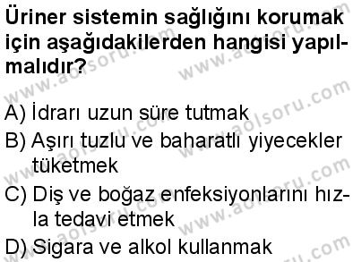 Seçmeli Biyoloji 2 Dersi 2024-2025 yılı 2. Dönem sınavı 4. Soru Seçmeli Biyoloji 2 Dersi 2024-2025 yılı 2. Dönem sınavı 4. Soru