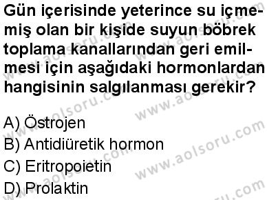 Seçmeli Biyoloji 2 Dersi 2024-2025 yılı 2. Dönem sınavı 5. Soru Seçmeli Biyoloji 2 Dersi 2024-2025 yılı 2. Dönem sınavı 5. Soru