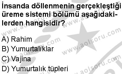 Seçmeli Biyoloji 2 Dersi 2024-2025 yılı 2. Dönem sınavı 6. Soru Seçmeli Biyoloji 2 Dersi 2024-2025 yılı 2. Dönem sınavı 6. Soru