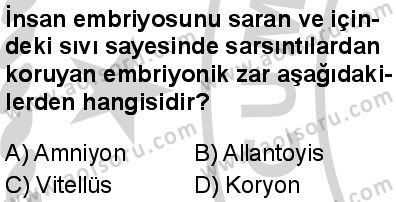 Seçmeli Biyoloji 2 Dersi 2024-2025 yılı 2. Dönem sınavı 7. Soru Seçmeli Biyoloji 2 Dersi 2024-2025 yılı 2. Dönem sınavı 7. Soru
