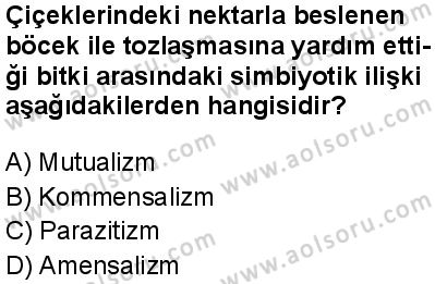 Seçmeli Biyoloji 2 Dersi 2024-2025 yılı 2. Dönem sınavı 9. Soru Seçmeli Biyoloji 2 Dersi 2024-2025 yılı 2. Dönem sınavı 9. Soru