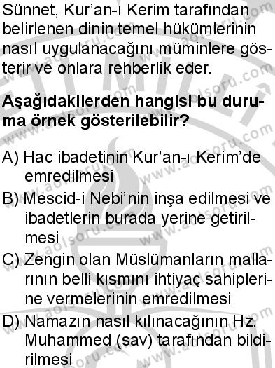 Seçmeli Peygamberimizin Hayatı 7 Dersi 2024-2025 yılı 2. Dönem sınavı 6. Soru Seçmeli Peygamberimizin Hayatı 7 Dersi 2024-2025 yılı 2. Dönem sınavı 6. Soru