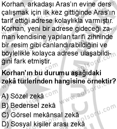 Seçmeli Psikoloji 2 Dersi 2024-2025 yılı 2. Dönem sınavı 5. Soru Seçmeli Psikoloji 2 Dersi 2024-2025 yılı 2. Dönem sınavı 5. Soru