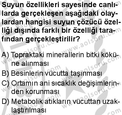Biyoloji 2 Dersi 2024-2025 yılı 2. Dönem sınavı 1. Soru Biyoloji 2 Dersi 2024-2025 yılı 2. Dönem sınavı 1. Soru