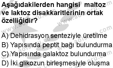 Biyoloji 2 Dersi 2024-2025 yılı 2. Dönem sınavı 2. Soru Biyoloji 2 Dersi 2024-2025 yılı 2. Dönem sınavı 2. Soru