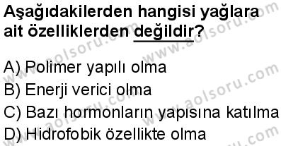Biyoloji 2 Dersi 2024-2025 yılı 2. Dönem sınavı 3. Soru Biyoloji 2 Dersi 2024-2025 yılı 2. Dönem sınavı 3. Soru