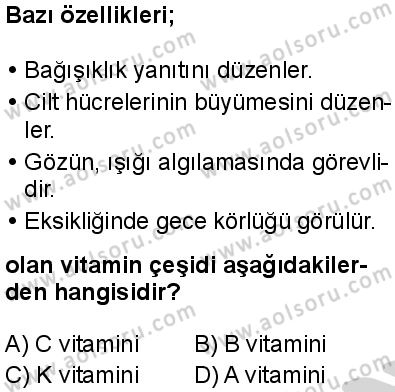 Biyoloji 2 Dersi 2024-2025 yılı 2. Dönem sınavı 4. Soru Biyoloji 2 Dersi 2024-2025 yılı 2. Dönem sınavı 4. Soru