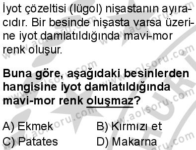 Biyoloji 2 Dersi 2024-2025 yılı 2. Dönem sınavı 5. Soru Biyoloji 2 Dersi 2024-2025 yılı 2. Dönem sınavı 5. Soru