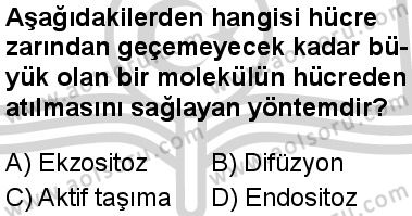Biyoloji 2 Dersi 2024-2025 yılı 2. Dönem sınavı 9. Soru Biyoloji 2 Dersi 2024-2025 yılı 2. Dönem sınavı 9. Soru