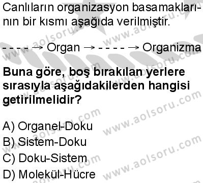 Biyoloji 2 Dersi 2024-2025 yılı 2. Dönem sınavı 10. Soru Biyoloji 2 Dersi 2024-2025 yılı 2. Dönem sınavı 10. Soru