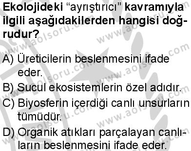 Biyoloji 4 Dersi 2024-2025 yılı 2. Dönem sınavı 2. Soru Biyoloji 4 Dersi 2024-2025 yılı 2. Dönem sınavı 2. Soru