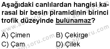 Biyoloji 4 Dersi 2024-2025 yılı 2. Dönem sınavı 5. Soru Biyoloji 4 Dersi 2024-2025 yılı 2. Dönem sınavı 5. Soru