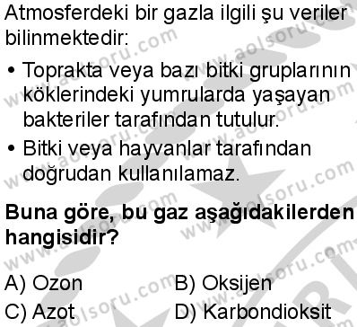 Biyoloji 4 Dersi 2024-2025 yılı 2. Dönem sınavı 6. Soru Biyoloji 4 Dersi 2024-2025 yılı 2. Dönem sınavı 6. Soru