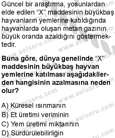 Biyoloji 4 Dersi 2024-2025 yılı 2. Dönem sınavı 8. Soru Biyoloji 4 Dersi 2024-2025 yılı 2. Dönem sınavı 8. Soru