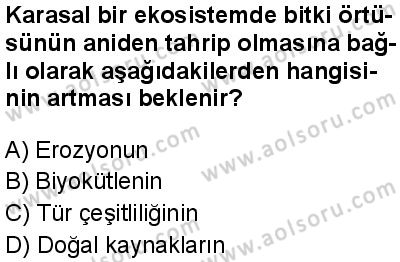 Biyoloji 4 Dersi 2024-2025 yılı 2. Dönem sınavı 9. Soru Biyoloji 4 Dersi 2024-2025 yılı 2. Dönem sınavı 9. Soru