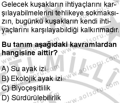 Biyoloji 4 Dersi 2024-2025 yılı 2. Dönem sınavı 10. Soru Biyoloji 4 Dersi 2024-2025 yılı 2. Dönem sınavı 10. Soru