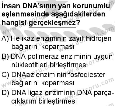 Seçmeli Biyoloji 3 Dersi 2024-2025 yılı 2. Dönem sınavı 2. Soru Seçmeli Biyoloji 3 Dersi 2024-2025 yılı 2. Dönem sınavı 2. Soru