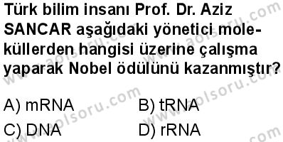 Seçmeli Biyoloji 3 Dersi 2024-2025 yılı 2. Dönem sınavı 3. Soru Seçmeli Biyoloji 3 Dersi 2024-2025 yılı 2. Dönem sınavı 3. Soru