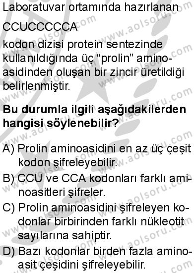 Seçmeli Biyoloji 3 Dersi 2024-2025 yılı 2. Dönem sınavı 5. Soru Seçmeli Biyoloji 3 Dersi 2024-2025 yılı 2. Dönem sınavı 5. Soru