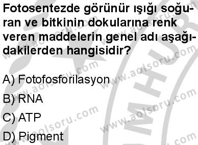 Seçmeli Biyoloji 3 Dersi 2024-2025 yılı 2. Dönem sınavı 8. Soru Seçmeli Biyoloji 3 Dersi 2024-2025 yılı 2. Dönem sınavı 8. Soru