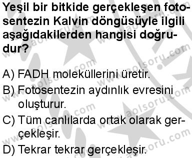 Seçmeli Biyoloji 3 Dersi 2024-2025 yılı 2. Dönem sınavı 9. Soru Seçmeli Biyoloji 3 Dersi 2024-2025 yılı 2. Dönem sınavı 9. Soru