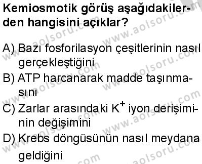 Seçmeli Biyoloji 3 Dersi 2024-2025 yılı 2. Dönem sınavı 10. Soru Seçmeli Biyoloji 3 Dersi 2024-2025 yılı 2. Dönem sınavı 10. Soru