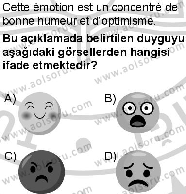 Fransızca 7 Dersi 2024-2025 yılı 2. Dönem sınavı 9. Soru Fransızca 7 Dersi 2024-2025 yılı 2. Dönem sınavı 9. Soru