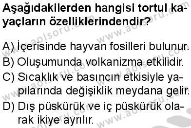 Coğrafya 3 Dersi 2024-2025 yılı 2. Dönem sınavı 1. Soru Coğrafya 3 Dersi 2024-2025 yılı 2. Dönem sınavı 1. Soru