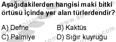Coğrafya 3 Dersi 2024-2025 yılı 2. Dönem sınavı 10. Soru Coğrafya 3 Dersi 2024-2025 yılı 2. Dönem sınavı 10. Soru