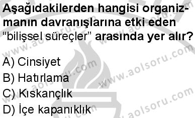 Seçmeli Psikoloji 1 Dersi 2024-2025 yılı 2. Dönem sınavı 5. Soru Seçmeli Psikoloji 1 Dersi 2024-2025 yılı 2. Dönem sınavı 5. Soru