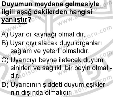 Seçmeli Psikoloji 1 Dersi 2024-2025 yılı 2. Dönem sınavı 6. Soru Seçmeli Psikoloji 1 Dersi 2024-2025 yılı 2. Dönem sınavı 6. Soru
