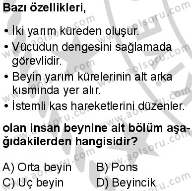 Seçmeli Biyoloji 1 Dersi 2024-2025 yılı 2. Dönem sınavı 1. Soru Seçmeli Biyoloji 1 Dersi 2024-2025 yılı 2. Dönem sınavı 1. Soru